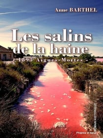 Les salins de la haine - Roman historique