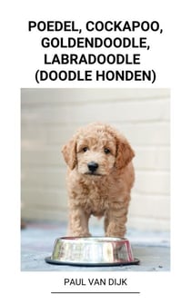 Poedel, Cockapoo, Goldendoodle, Labradoodle  (Doodle Honden)