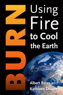 Burn - Igniting a New Carbon Drawdown Economy to End the Climate Crisis