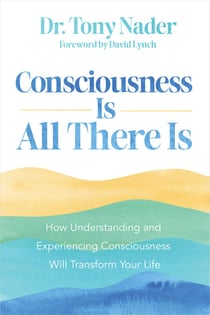 Consciousness Is All There Is - How Understanding and Experiencing Consciousness Will Transform Your Life