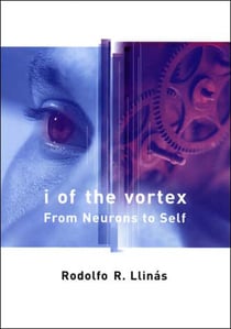 I of the Vortex - From Neurons to Self