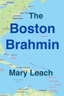 The Boston Brahmin - Liz Maguire Series, #5