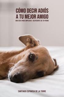 Cómo decir adiós a tu mejor amigo - Cómo afrontar el duelo tras la pérdida de tu mascota, #4