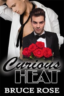Curious Heat - A Fairview Story, #1