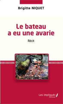 Le bateau a eu une avarie - Récit