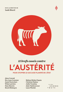 11 brefs essais contre l'austérité - pour stopper le saccage planifié de l'Etat