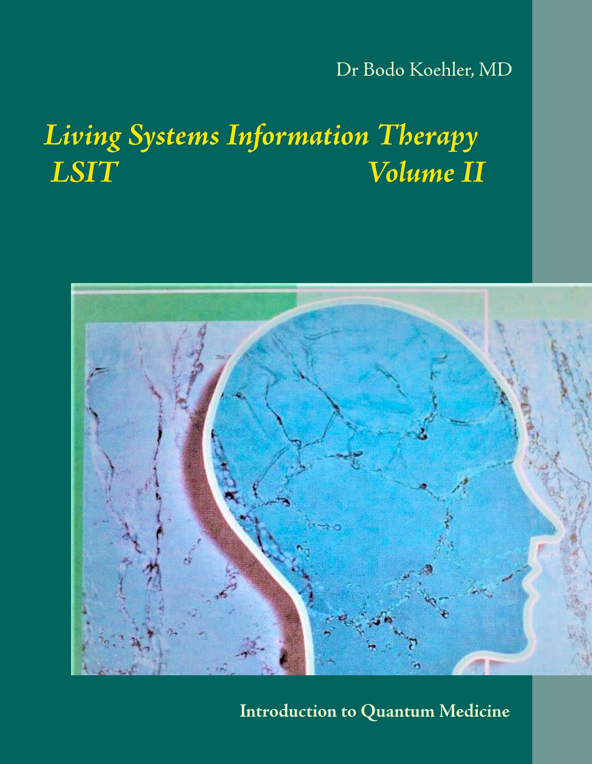 Living Systems Information Therapy LSIT - Introduction to Quantum Medicine