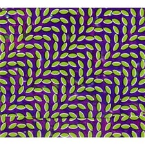 Merriweather post pavillon - CD