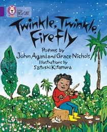 Twinkle, Twinkle, Firefly - Band 08/Purple
