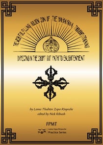 The Wish-Fulfilling Golden Sun of the Mahayana Thought Training: Directing in the Short Cut Path to Enlightenment eBook