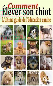 Comment élever son chiot : l’ultime guide de l'éducation canine