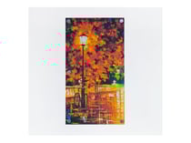 Chassîs magnétique 30 x 30 cm et 6 aimants extra forts Ø 10 mm Créalia