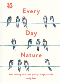 Every Day Nature - How noticing nature can quietly change your life