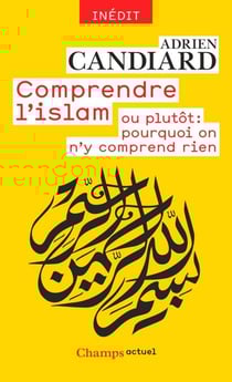 Comprendre l'islam. ou plutôt : pourquoi on n'y comprend rien