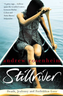 Stillriver - A beautifully written, suspenseful novel, perfect for fans of Sebastian Faulks