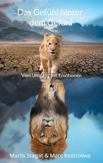 Das Gefühl hinter dem Gefühl - Vom Umgang mit Emotionen