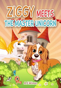 Ziggy Meets the Master Unicorn