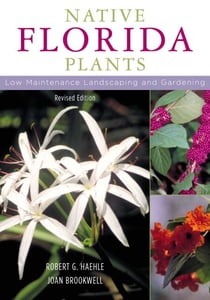 Native Florida Plants - Low Maintenance Landscaping and Gardening