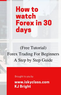 Forex Trading for Beginners – A Step by Step Guide