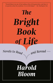 The Bright Book of Life - Novels to Read and Reread