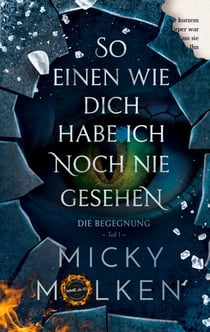 So einen wie dich habe ich noch nie gesehen - Die Begegnung