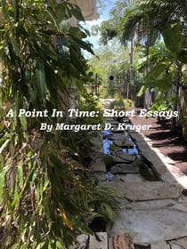 A Point In Time: Short Essays