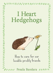 I Heart Hedgehogs - How to care for our lovable prickly friends