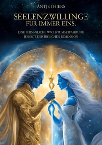 Seelenzwillinge - Für immer eins. - Eine persönliche Wachstumserfahrung jenseits der irdischen Dimension