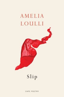 Slip - From the Winner of the Northern Writers’ Award