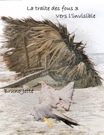 La traite des fous 3 - Vers l'invisible