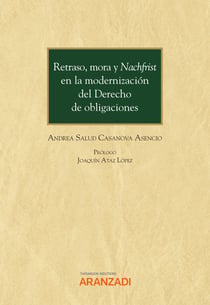 Retraso, mora y Nachfrist en la modernización del Derecho de obligaciones