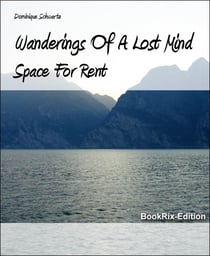 Wanderings Of A Lost Mind - Space For Rent
