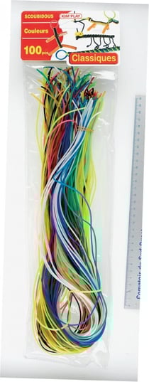 100 Scoubidous classiques