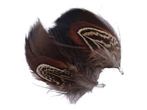 2 plumes superposées - noires - Créalia