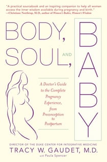 Body, Soul, and Baby - A Doctor's Guide to the Complete Pregnancy Experience, From Preconception to Postpartum