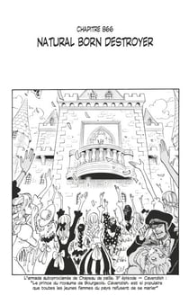 One Piece édition originale - Chapitre 866 - Natural born destroyer