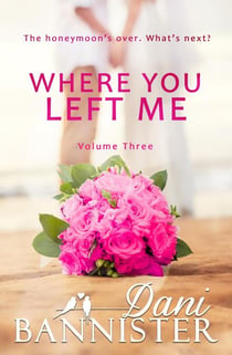 Where You Left Me, Vol. 3 - Where You Left Me, #3