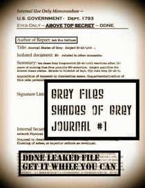Grey Files: Shades of Grey Journal #1 - The Grey Files:, #1