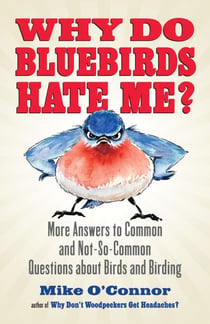 Why Do Bluebirds Hate Me? - More Answers to Common and Not-So-Common Questions about Birds and Birding