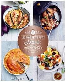 Les bons petits plats de mamie - Plus de 500 plats à déguster en famille