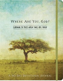 Where Are You, God - Learning to Trust When Times Are Tough