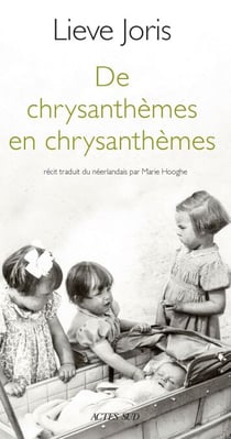 De chrysanthèmes en chrysanthèmes
