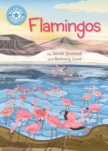 Flamingos - Independent Reading Non-Fiction Blue 4