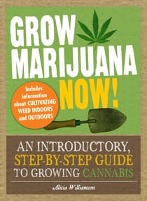 Grow Marijuana Now! - An Introductory, Step-by-Step Guide to Growing Cannabis