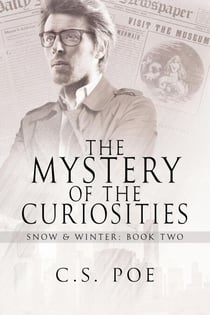 The Mystery of the Curiosities - Snow & Winter, #2