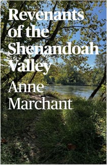 Revenants of the Shenandoah Valley - A Shenandoah Valley Mystery, #1