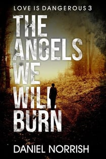 The Angels We Will Burn - Love is Dangerous, #1