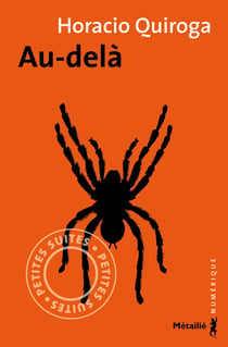 Au-delà (nouvelle)