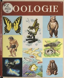 Zoologie