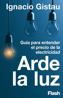Arde la luz - Guía para entender el precio de la electricidad